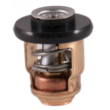 TERMOSTATO YAMAHA F15 - F20 