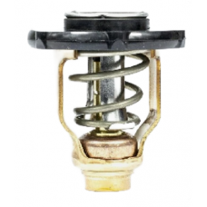 TERMOSTATO PARSUN YAMAHA F115