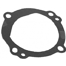 WATER PUMP GASKET