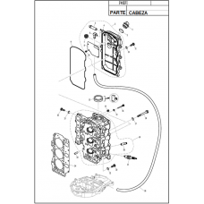 DIAGRAMA DE CABEZA F40EFI