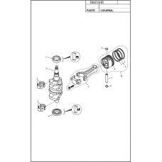 DIAGRAMA DE CIGUEÑAL F20EFI