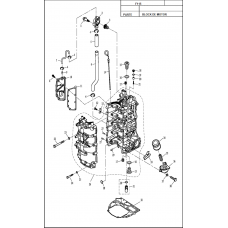 F115 DIAGRAMA DE BLOCK DEL MOTOR