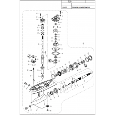 F130 DIAGRAMA DE TRANSMISION ESTANDAR F130 DIAGRAMA DE TRANSMISION ESTANDAR