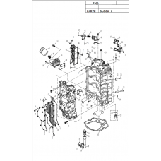 F300 BLOCK 1 F300 BLOCK 1