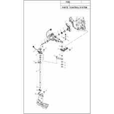 F300 CONTROL SYSTEM F300 CONTROL SYSTEM