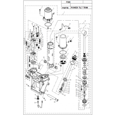 F300 POWER TILT TRIM F300 POWER TILT TRIM