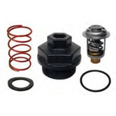 KIT DE TERMOSTATO  PI 24 17 1886 4000103 - 13 MARZO 2024 - A170